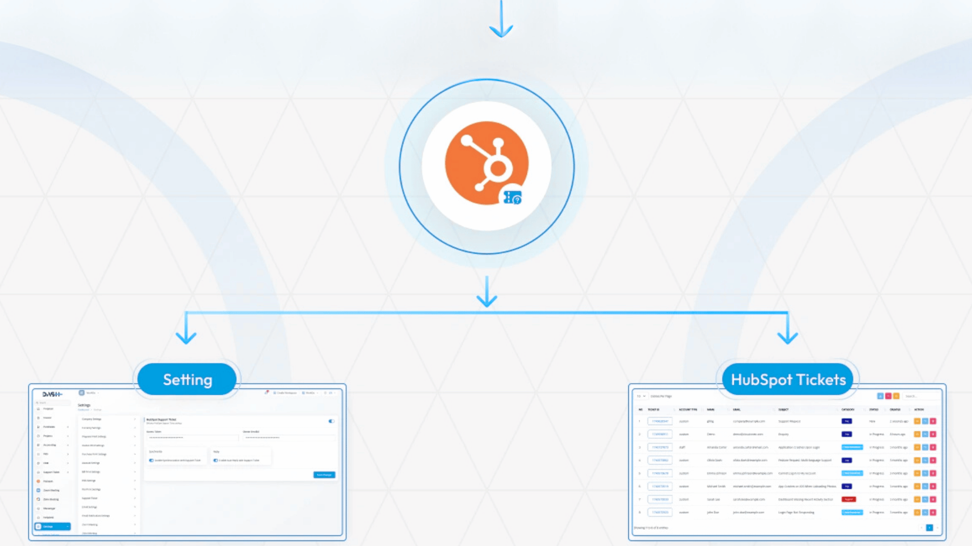 Organic Vegetable Box